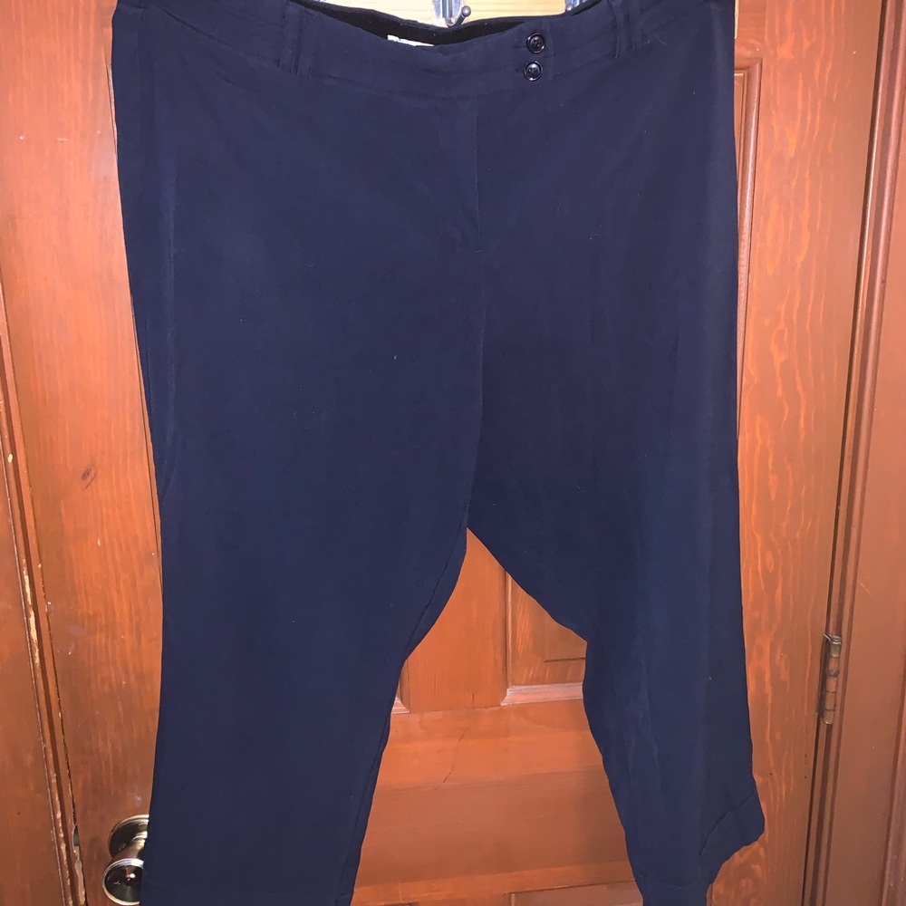 Dressbarn pants